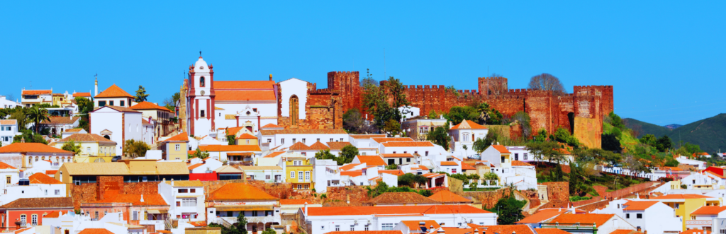 A village with white houses in front of a castle with brown walls