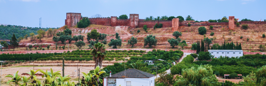 Green trees and fields with a castle in background