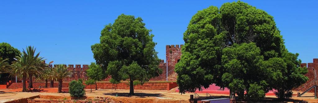 green trees in fron of brown walled castle